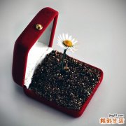 3 肥胖纹