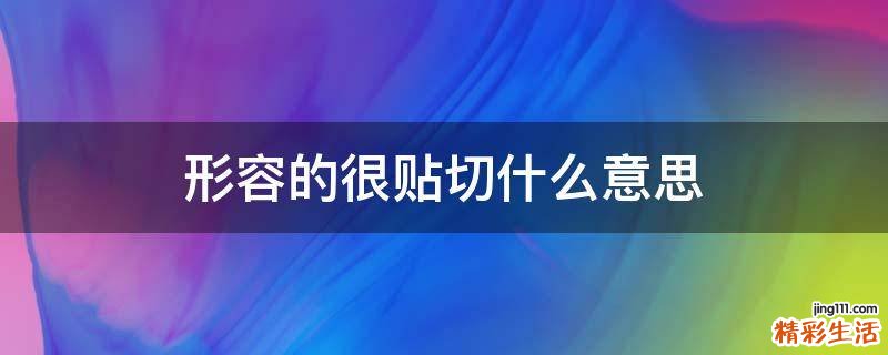 形容的很贴切什么意思