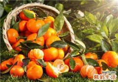 孕妇吃桔子宝宝皮肤会发黄吗 孕妇吃桔子上火吗