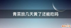 青菜放几天黄了还能吃吗