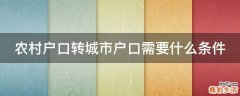 农村户口转城市户口需要什么条件