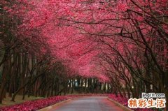 3 80后，别让“被相亲”成心理负担