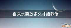 自来水要放多久才能养龟