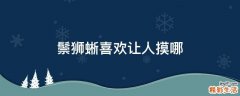 鬃狮蜥喜欢让人摸哪