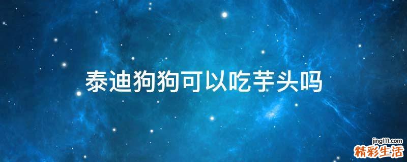 泰迪狗狗可以吃芋头吗