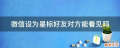 微信设为星标好友对方能看见吗