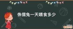 侏儒兔一天喂食多少