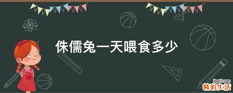 侏儒兔一天喂食多少
