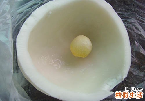 椰子是凉性还是热性