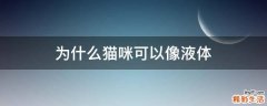 为什么猫咪可以像液体