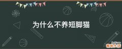 为什么不养短脚猫