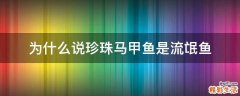 为什么说珍珠马甲鱼是流氓鱼