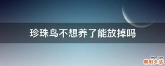 珍珠鸟不想养了能放掉吗