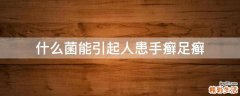 什么菌能引起人患手癣足癣