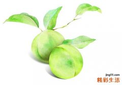 青梅的营养价值