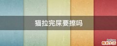 猫拉完屎要擦吗