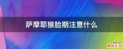 萨摩耶猴脸期注意什么
