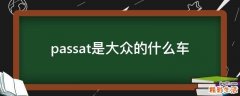 passat是大众的什么车