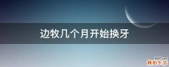 边牧几个月开始换牙