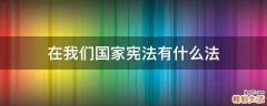 在我们国家宪法有什么法