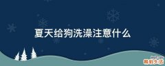 夏天给狗洗澡注意什么