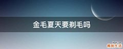 金毛夏天要剃毛吗