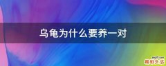 乌龟为什么要养一对