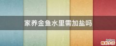 家养金鱼水里需加盐吗