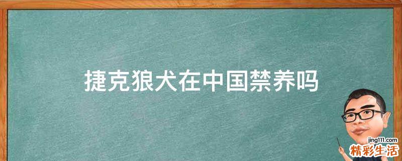 捷克狼犬在中国禁养吗