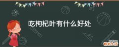 吃枸杞叶有什么好处