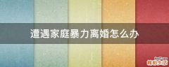 遭遇家庭暴力离婚怎么办
