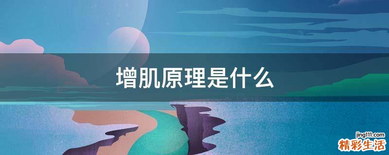 增肌原理是什么