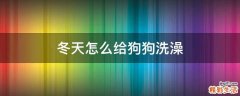 冬天怎么给狗狗洗澡