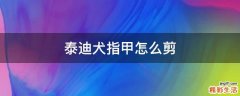 泰迪犬指甲怎么剪