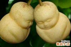 人参果的营养价值