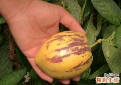 吃人参果要去皮吗 人参果的皮能吃吗