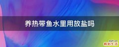 养热带鱼水里用放盐吗