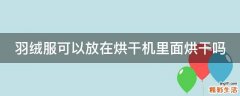 羽绒服可以放在烘干机里面烘干吗