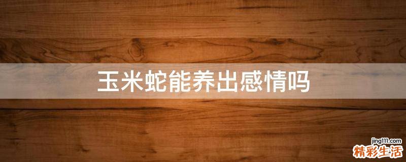 玉米蛇能养出感情吗