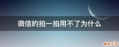 微信的拍一拍用不了为什么