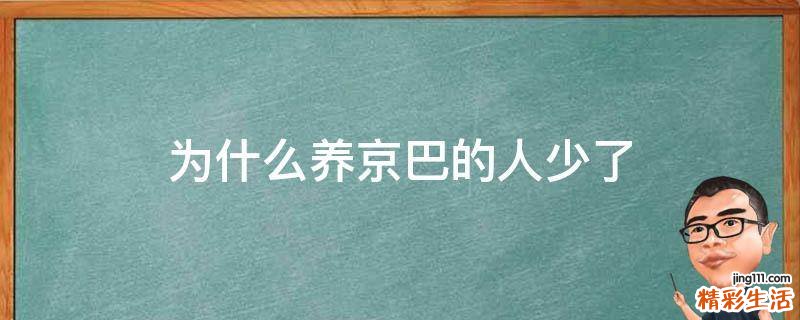 为什么养京巴的人少了