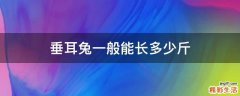 垂耳兔一般能长多少斤