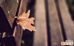 逆境也是成功的一个过程