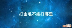 打金毛不能打哪里