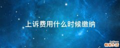 上诉费用什么时候缴纳