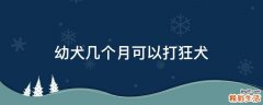 幼犬几个月可以打狂犬