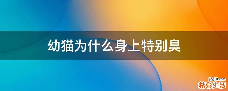 幼猫为什么身上特别臭