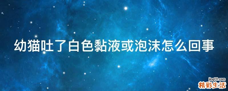 幼猫吐了白色黏液或泡沫怎么回事