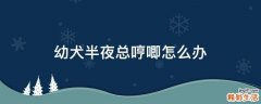 幼犬半夜总哼唧怎么办
