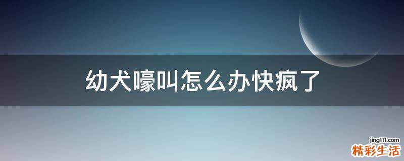 幼犬嚎叫怎么办快疯了